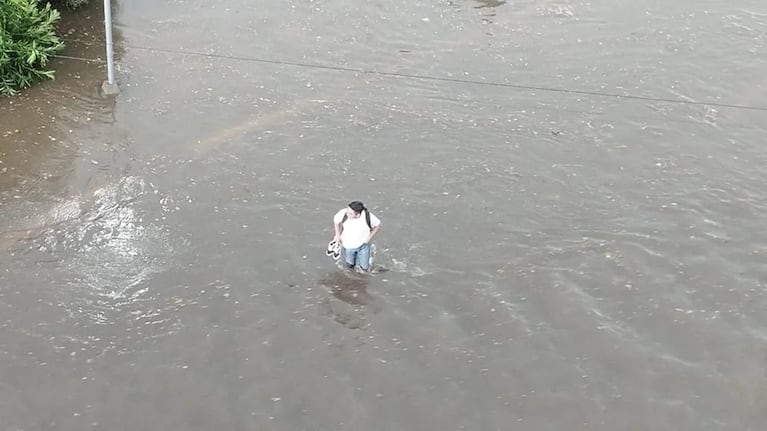 Árboles caídos y cortes de tránsito por la intensa lluvia en Córdoba: cómo sigue el tiempo