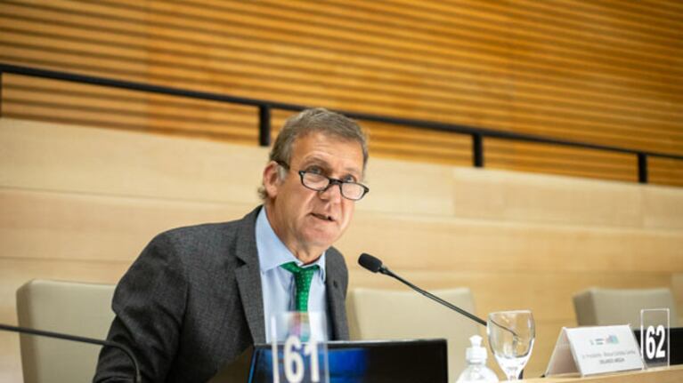 Arduh afirmó que el proyecto "restringe" y no promueve el juego online.