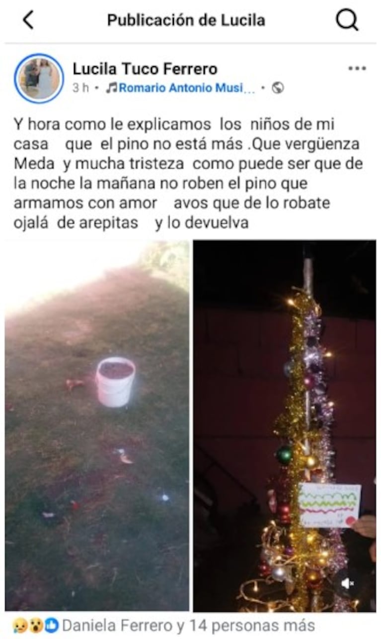 Armaron el arbolito de Navidad y se los robaron al día siguiente.