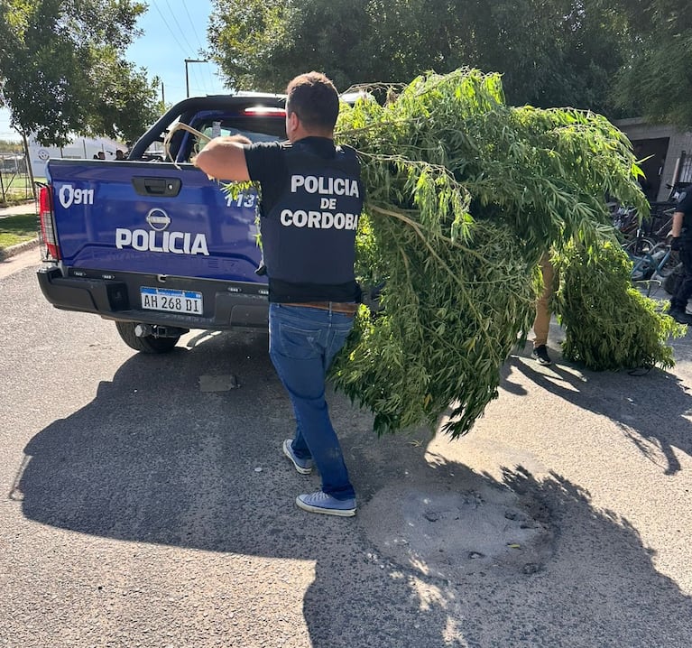 Armas, drogas y 15 detenidos en un megaoperativo por un intento de asesinato en Córdoba