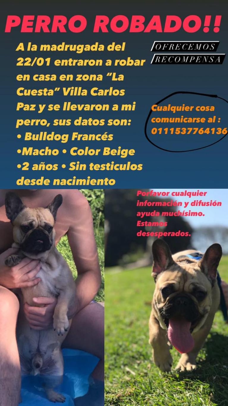 Asaltaron a una familia de turistas en Carlos Paz y les robaron hasta el perro