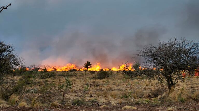 Aseguran que el incendio comenzó por la mano del hombre.