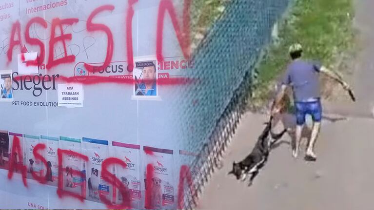 Aseguran que guardias del barrio privado en el que ocurrió todo fueron despedidos en medio del escándalo.