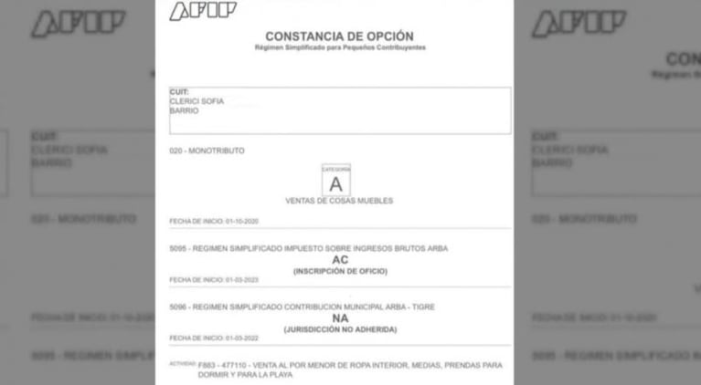 Aseguran que Sofía Clerici es monotributista: el beneficio que recibe de Afip