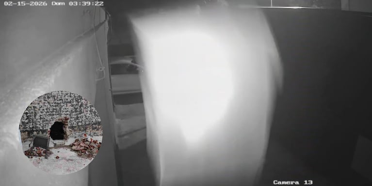 Así bajaban la caja fuerte del techo de los comercios.