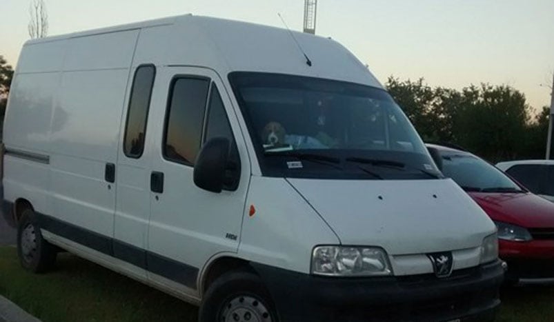 Así estaba el perro encerrado en la camioneta.