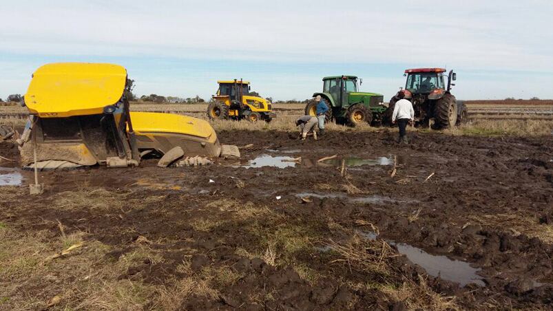 Así están los campos en el interior de Córdoba. Foto: Paola Paravarosco / ElDoceYVos.