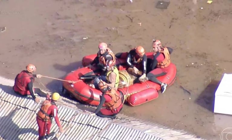 Así fue el épico rescate de Caramelo, el caballo atrapado por las inundaciones en Brasil