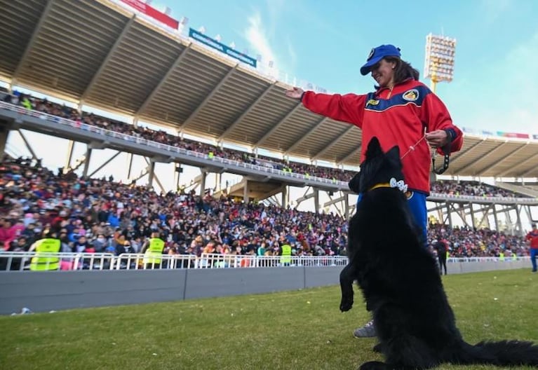 Así fueron los festejos del Día de las Infancias en Córdoba