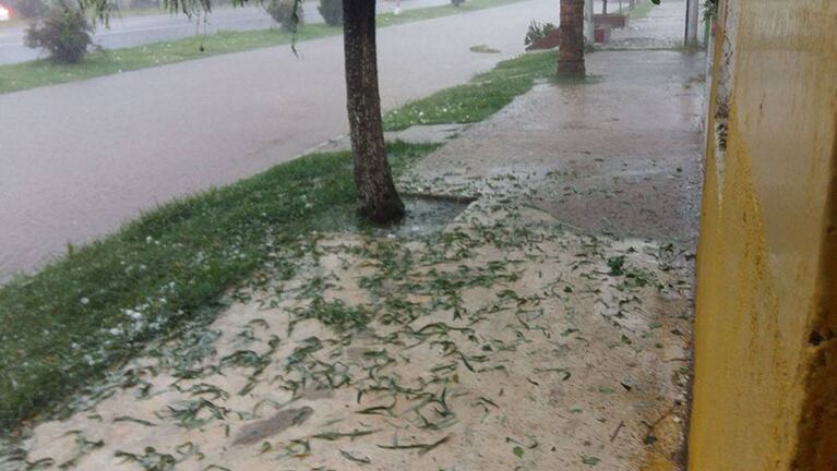 Así pasó la tormenta en Ausonia, sur de Córdoba. Foto: Nico Carpene.