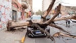 Así quedó el auto luego del terrible temporal en Córdoba.