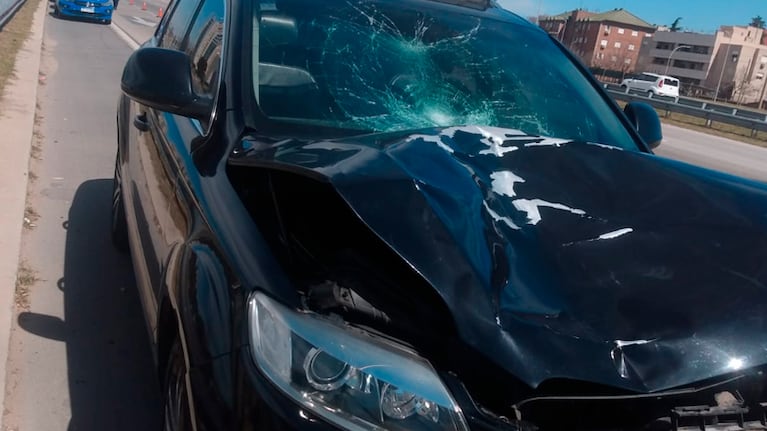 Así quedó la camioneta Q7.