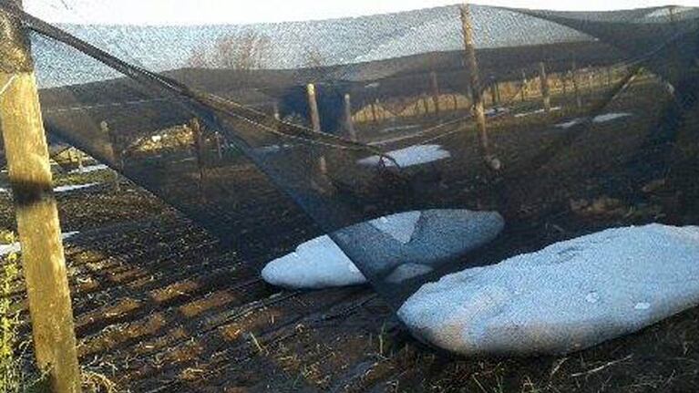 Así quedó una quinta en la zona de El Gateado. Foto: María Segarra.