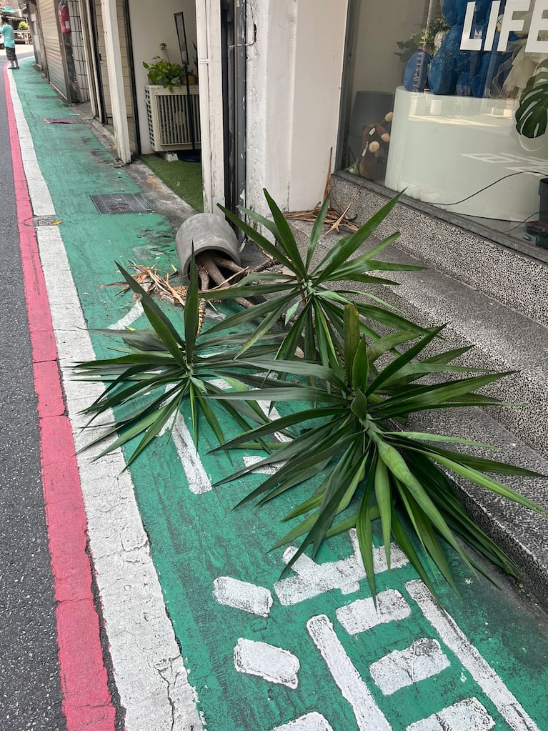 Así se vivió el terremoto en Taiwán. (Foto: gentileza Lorena Kuo)