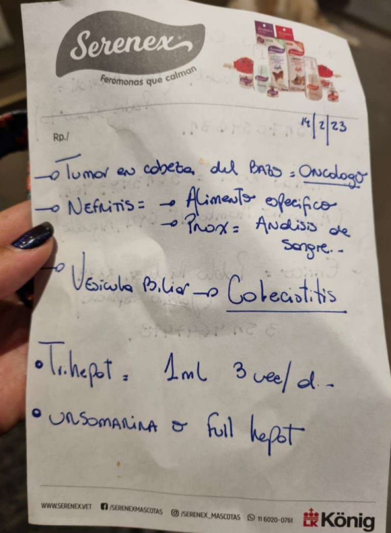 Asistió a un perro moribundo y lo multaron por “afectar la estética” del edificio