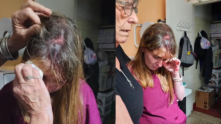 Ataque a una veterinaria en Córdoba.