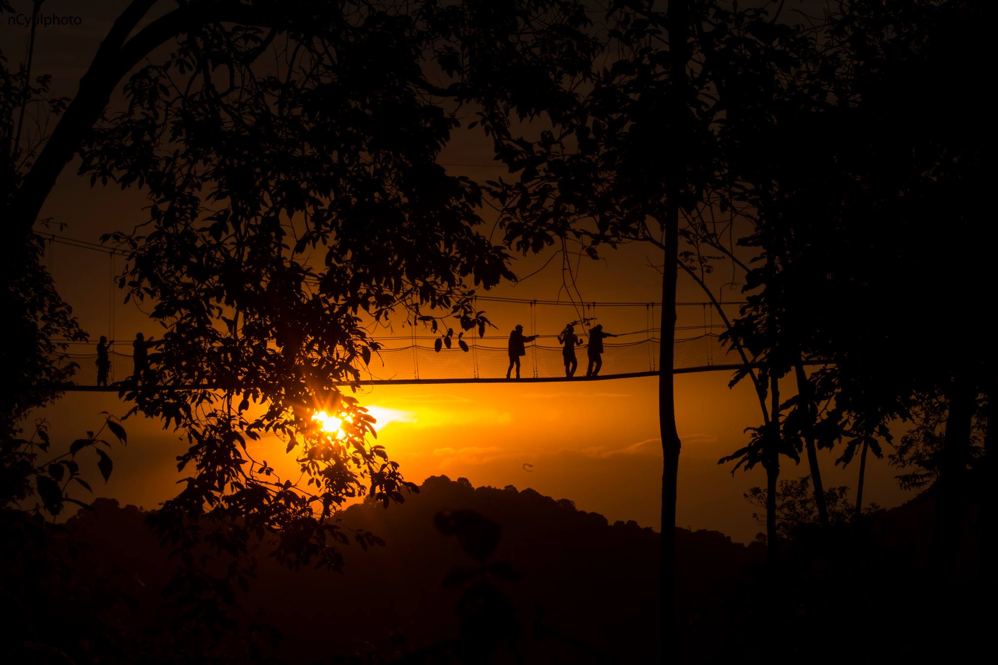 Atardecer en el Parque Nacional Nyungwe, Ruanda. Foto: Cyril Ndegeya.