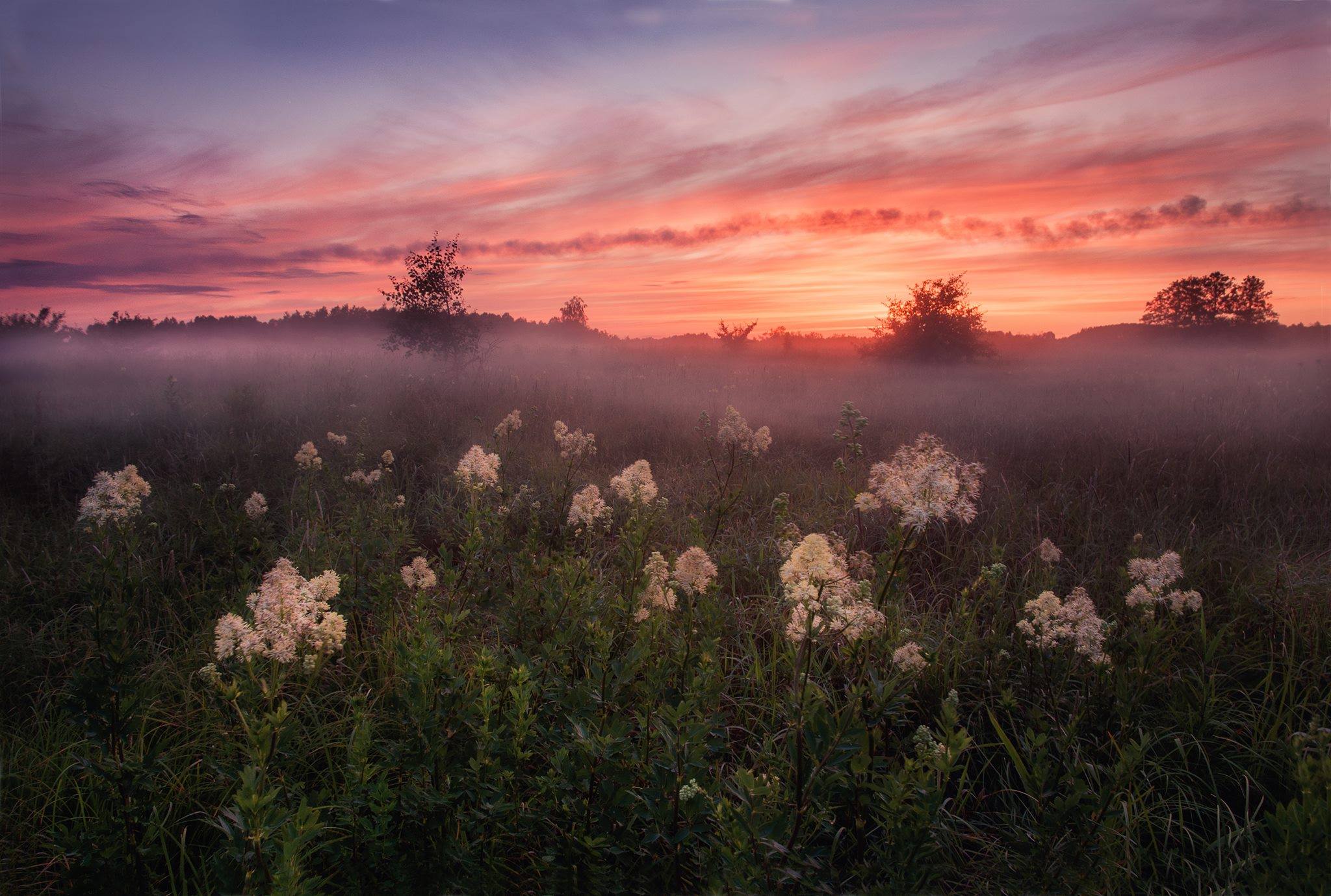 Atardecer y neblina en Smolensk, Rusia. Foto: Alexey Sergovantsev.