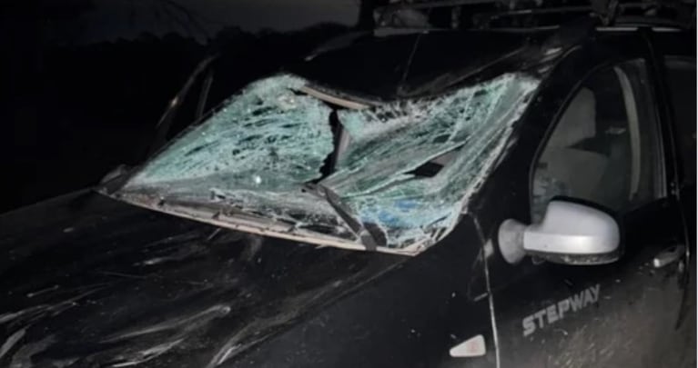 Atropelló a un caballo en la ruta y lo indemnizaron con una cifra millonaria.