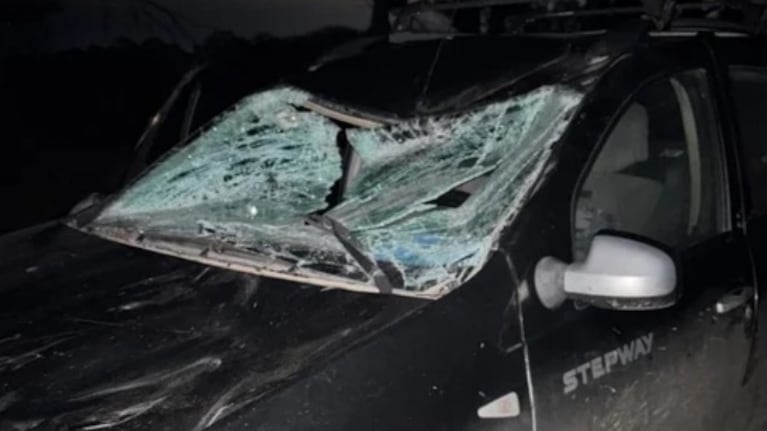 Atropelló a un caballo en la ruta y lo indemnizaron con una cifra millonaria.