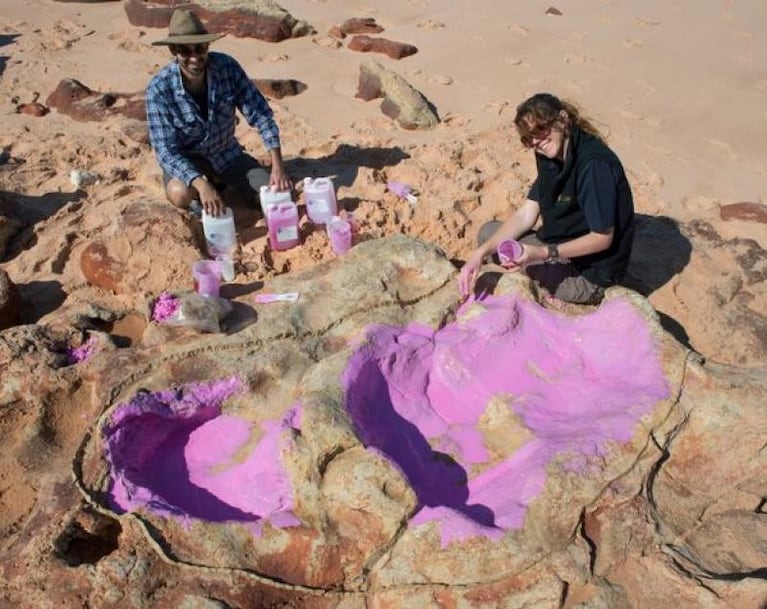 Australia: descubrieron 150 huellas de dinosaurios 