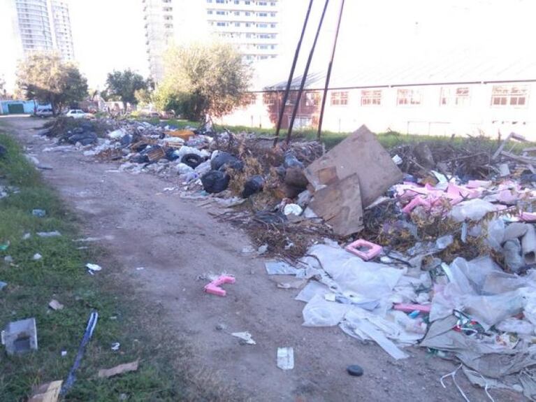 Barrio Arenales: una víbora y un alacrán en la puerta de su casa