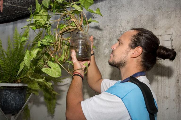 Barrio Jardín: confirmaron cinco nuevos casos de dengue