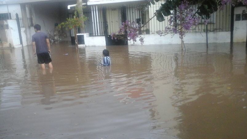 Barrio Las Flores. Foto: Vera Iván DIno. 