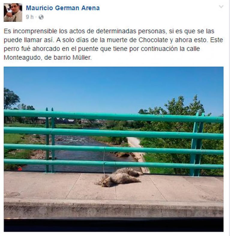 Barrio Müller: denuncian que ahorcaron a un perro en el puente