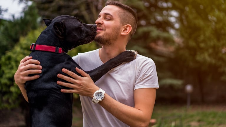Besar a los perros en la boca puede tener importantes riesgos.