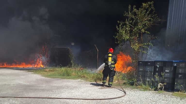 Bomberos combaten el fuego.