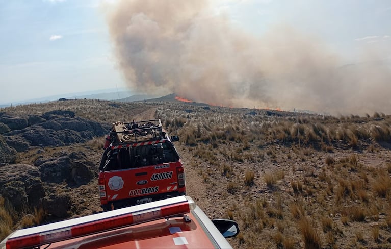 Bomberos combaten un incendio forestal cerca de Villa de Soto.