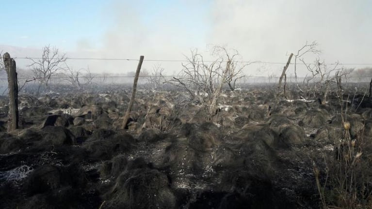 Bomberos controlaron el incendio en Luyaba