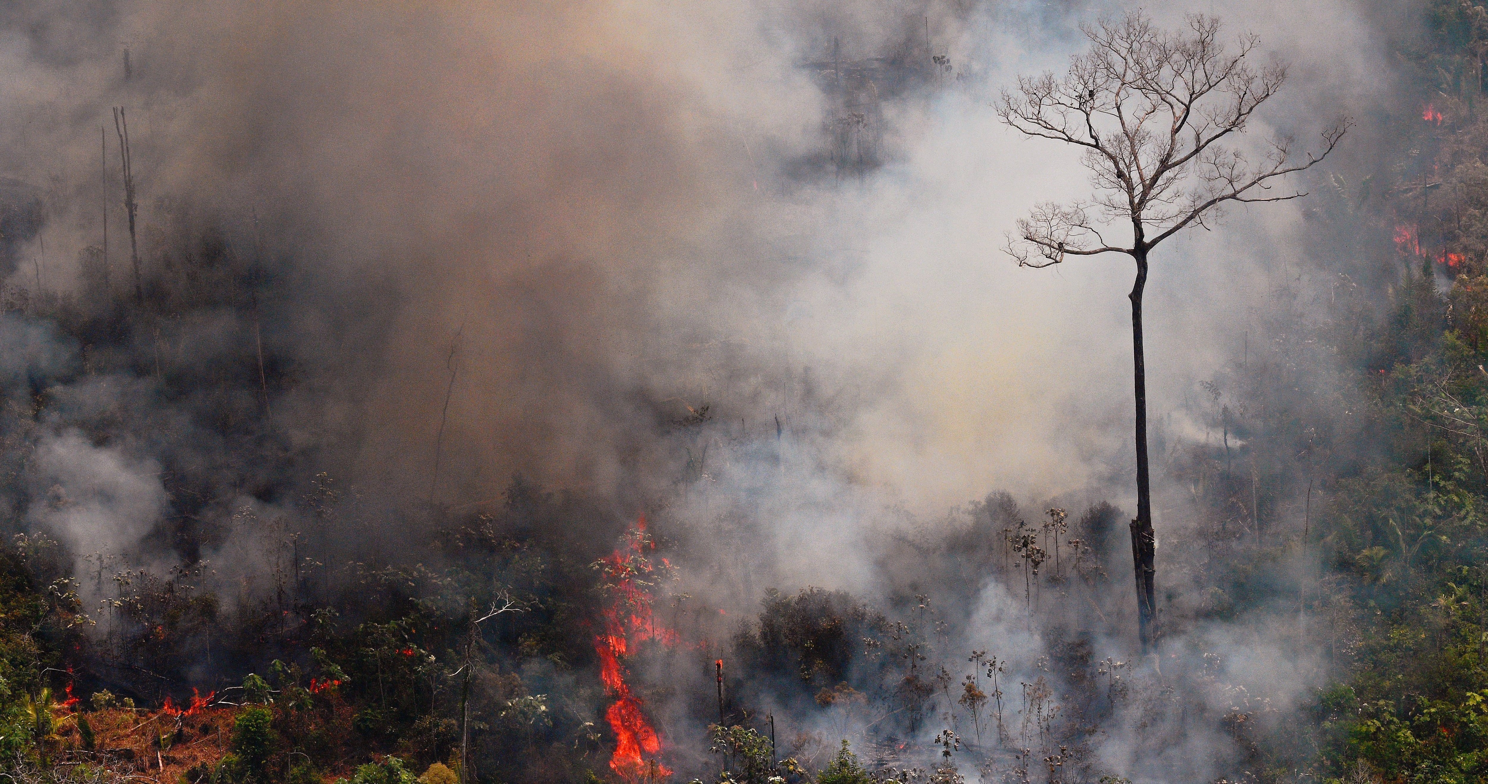 Bomberos cordobeses fueron seleccionados para ir al Amazonas