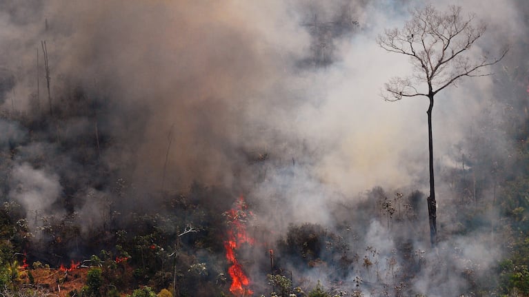 Bomberos cordobeses fueron seleccionados para ir al Amazonas