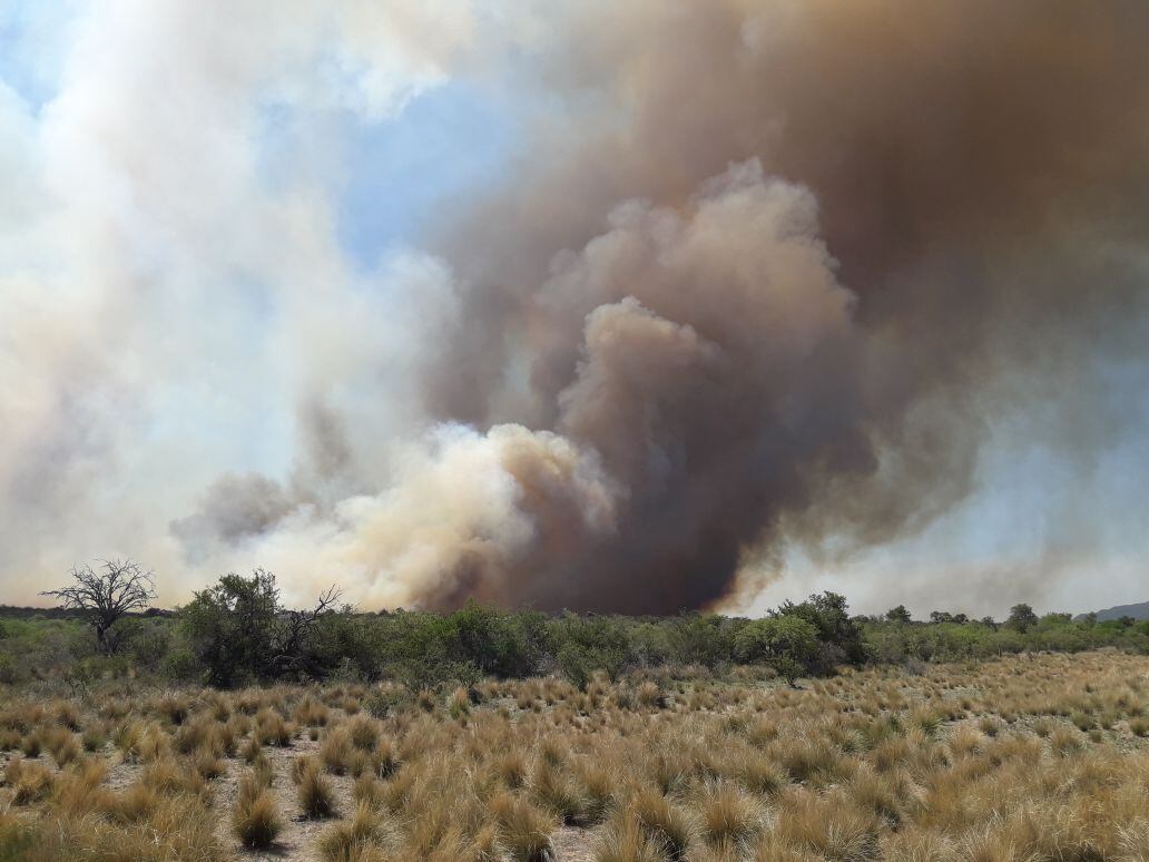 Bomberos de la Provincia y Voluntarios combaten el incendio en Guasapampa.