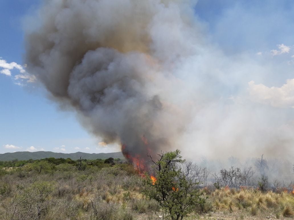 Bomberos de la Provincia y Voluntarios combaten el incendio en Guasapampa.