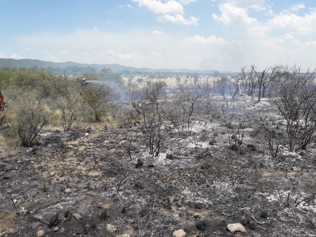 Bomberos de la Provincia y Voluntarios combaten el incendio en Guasapampa.