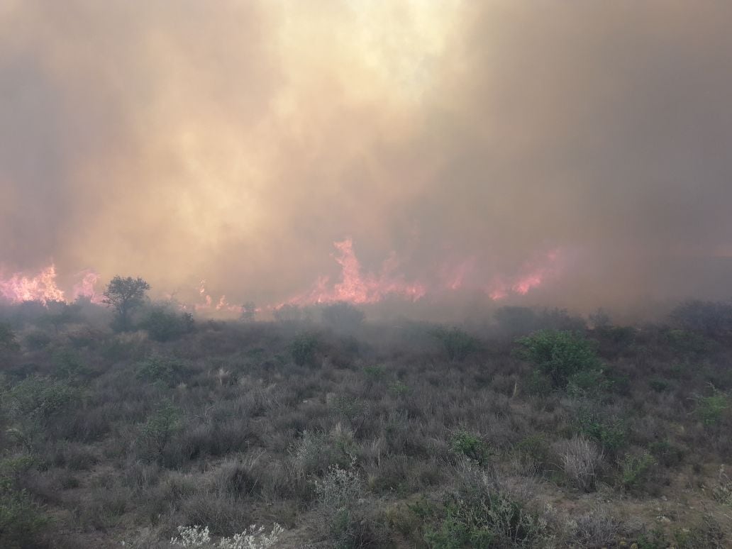 Bomberos de la Provincia y Voluntarios combaten el incendio en Guasapampa.