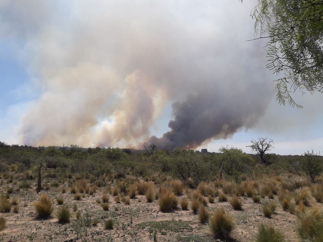 Bomberos de la Provincia y Voluntarios combaten el incendio en Guasapampa.