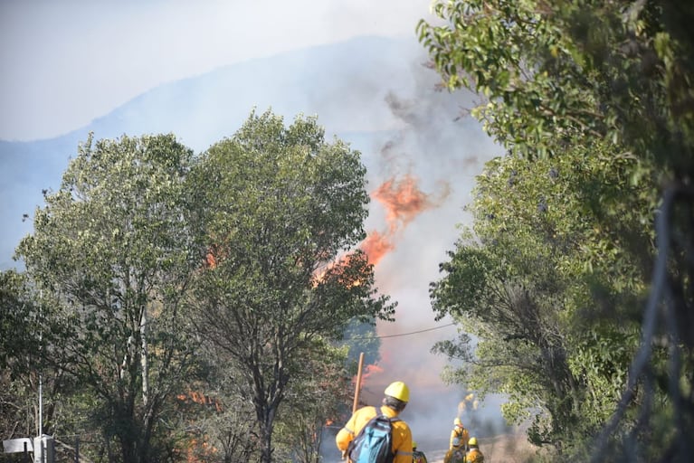 Bomberos luchan por apagar los focos en Huerta Grande y La Falda. Foto: Lucio Casalla/El Doce.