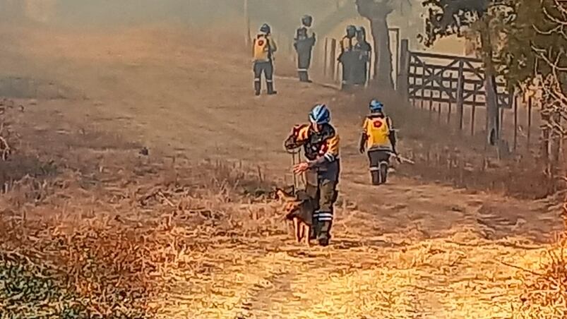 Bomberos trabajan en tareas de enfriamiento sobre un perímetro inestable.