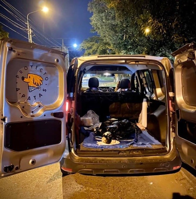 Bomberos, vecinos y voluntarios le salvaron la vida a la perrita de la localidad bonaerense de Merlo.