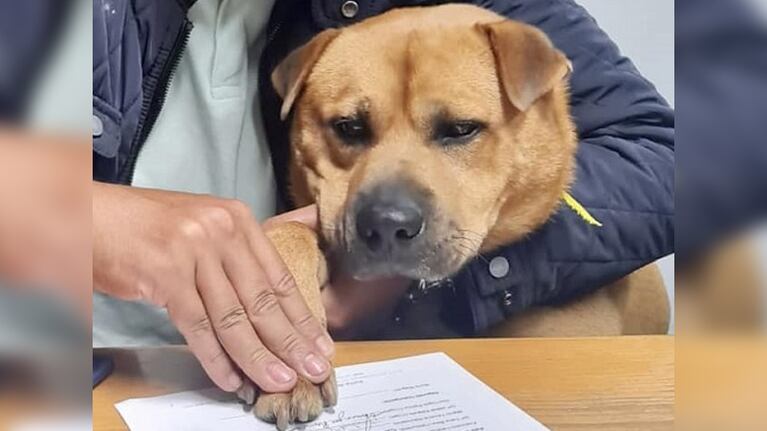Boris Baguim, la nueva estrella de una localidad portuguesa.