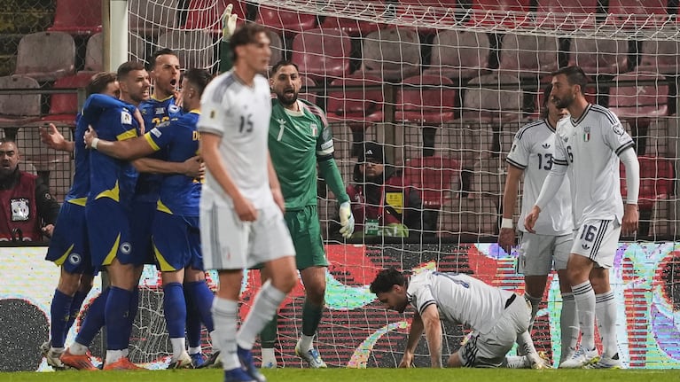 Bosnia jugará su segundo Mundial. (Fabio Ferrari/LaPresse via AP)