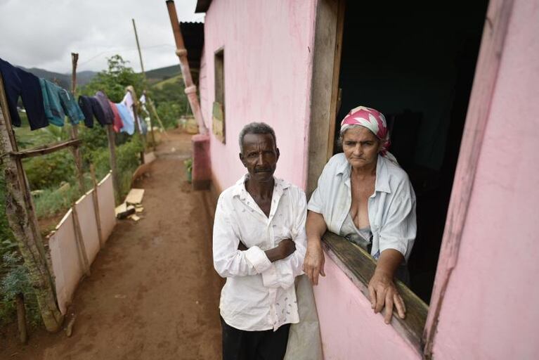 Brasil en alerta máxima por la fiebre amarilla