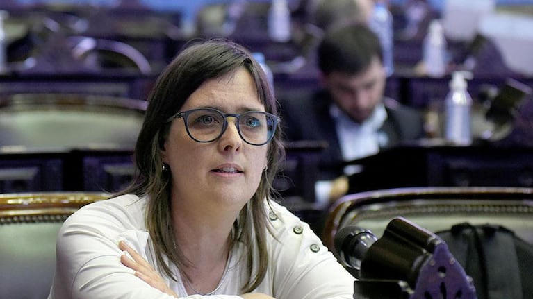 Brenda Austin: “La sociedad es diversa y la política tiene que animarse a representar eso”