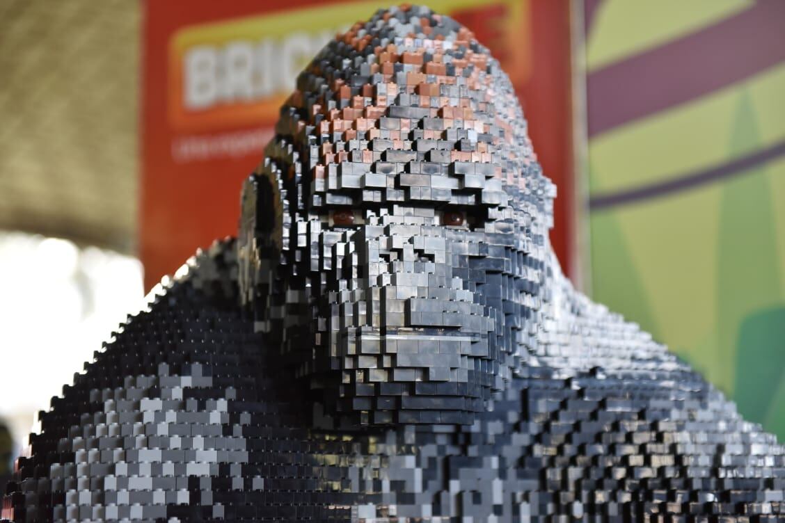 Bricklive, un espacio para chicos y grandes. Foto: Lucio Casalla / ElDoce.tv.