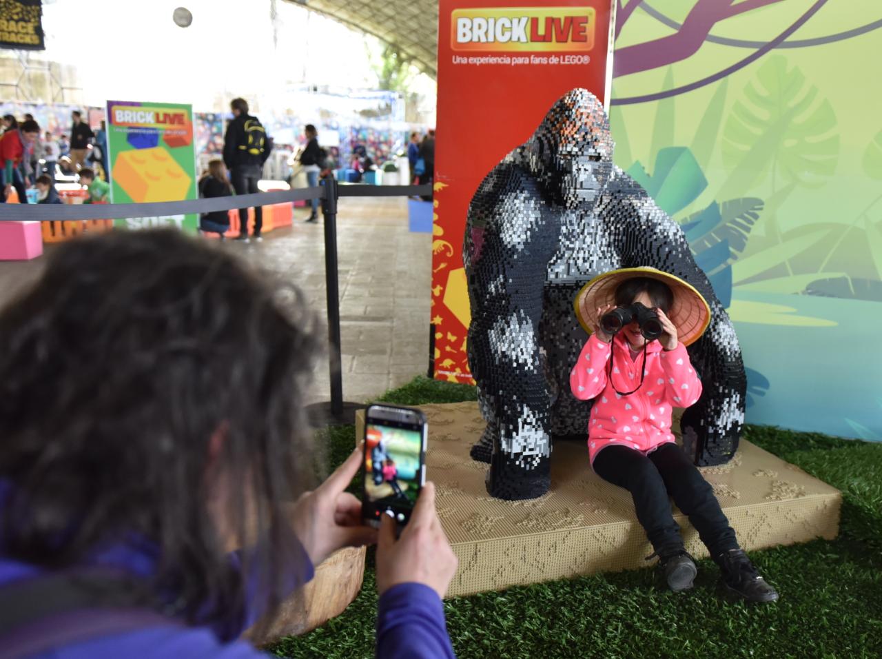 Bricklive, un espacio para chicos y grandes. Foto: Lucio Casalla / ElDoce.tv.