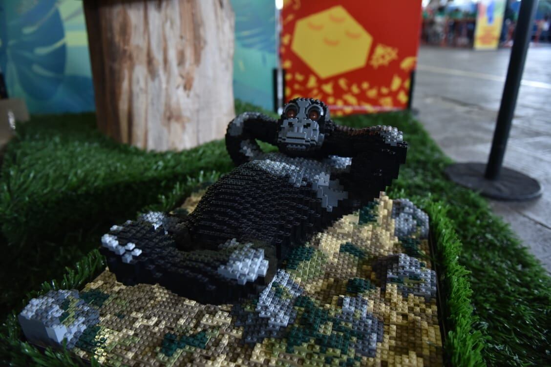 Bricklive, un espacio para chicos y grandes. Foto: Lucio Casalla / ElDoce.tv.